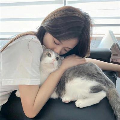 倩狐之妖乱青华