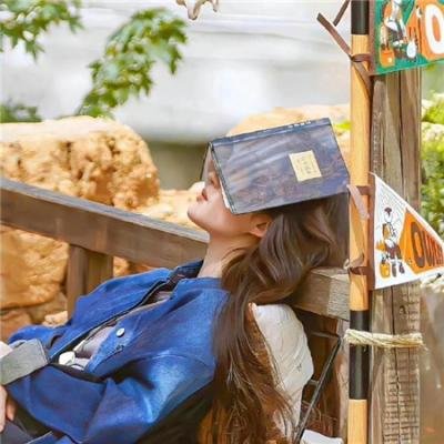 使用下方 20 个影片名，按顺序一一对应，不要改动片名文字，只根据片名和括号内类型提示来虚构全新的故事内容： 哈里·布朗 滑向未来 破碎之花 索非亚 幻游太虚 野兽之死 白痴杀手 寂静岭 玫瑰复艳时 法外之徒 情血洒金城 合意成年人 直男正传 追随你脚步 拉面首领 恐怖走廊 小鸡 加勒比女海盗 明治天皇与日俄战争 情感的禁区
